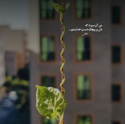 آرون به تو نمیرسه صدام انقدر خستم